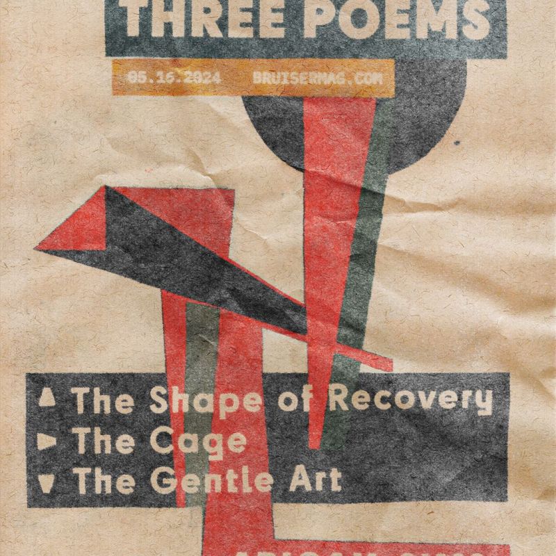 Bruiser, Summer 2024