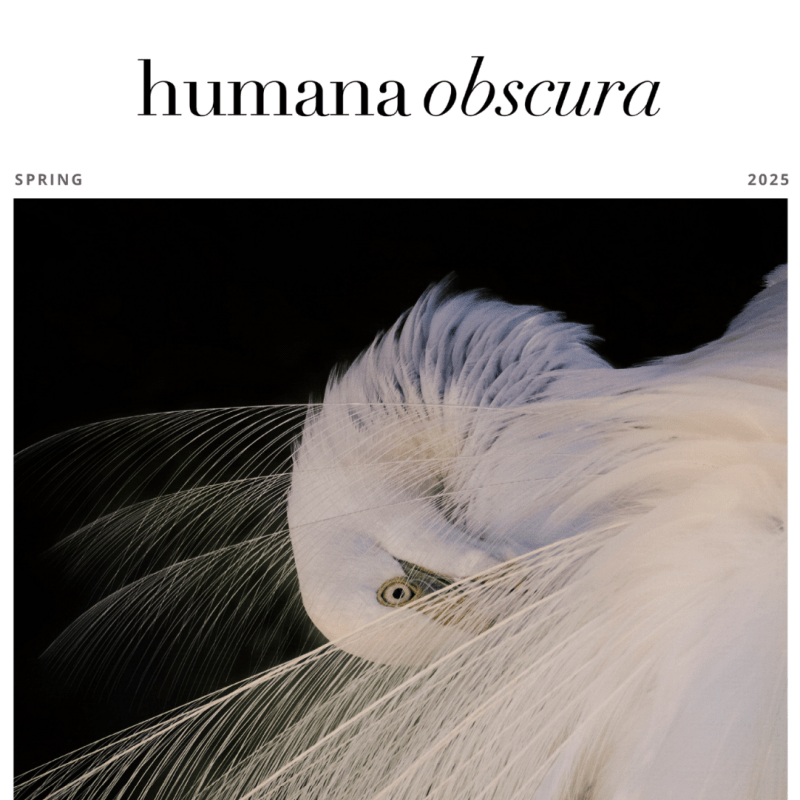 Humana Obscura, Spring&nbsp;2025