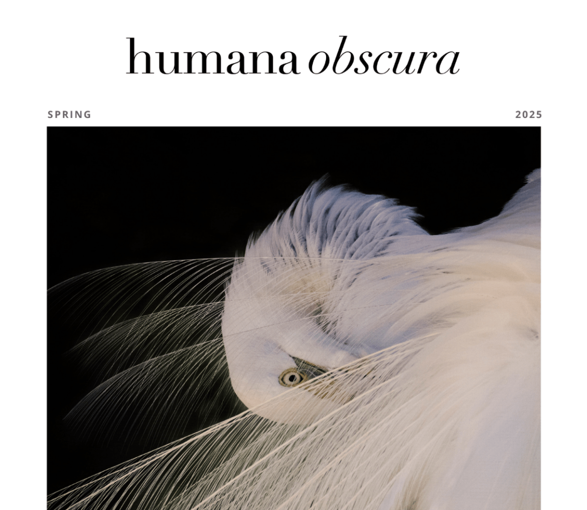 humana obscura issue 12