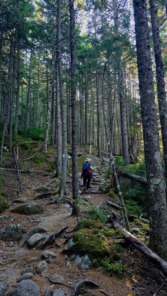 An image of a hiker at dawn on Katahdin. 
